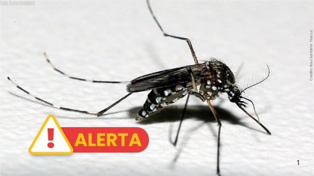 Segunda morte por chikungunya é registrada no Rio Grande do Sul, acendendo alerta sobre avanço da doença no estado