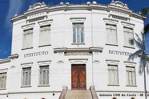 Vacina inédita contra gripe aviária é desenvolvida no Brasil pelo Instituto Butantan
