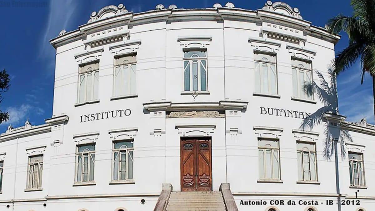 Vacina inédita contra gripe aviária é desenvolvida no Brasil pelo Instituto Butantan
