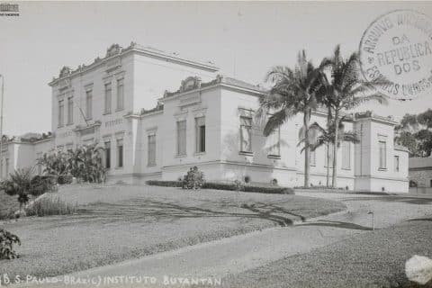 Fundação do Instituto Butantan - (23 de fevereiro de 1901)