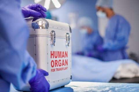 Primeiro Transplante de Coração (1967): um marco histórico na medicina moderna