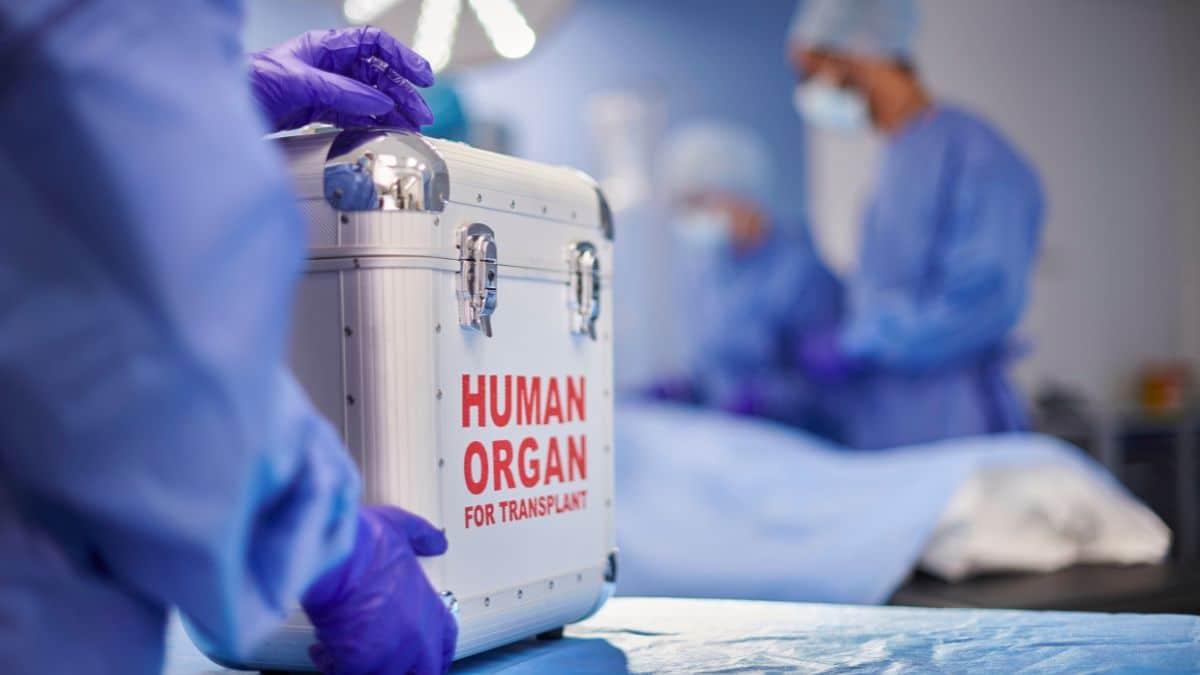 Primeiro Transplante de Coração (1967): um marco histórico na medicina moderna