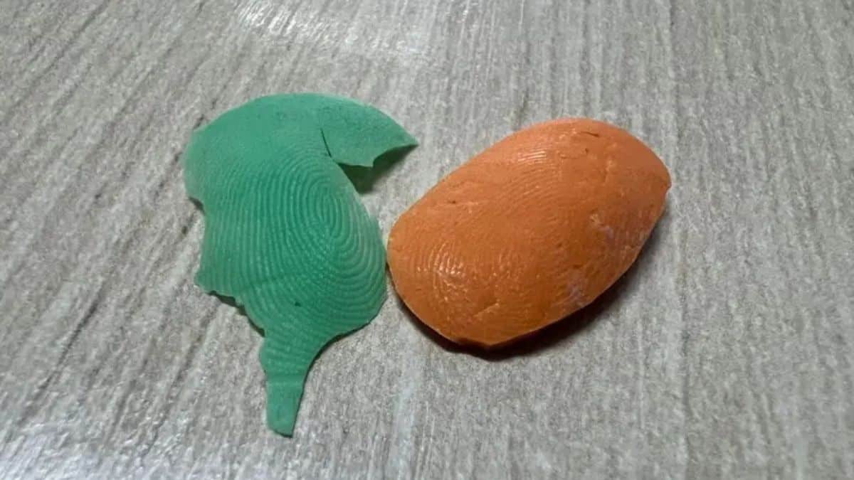 Dedos de silicone são usados por dentista e auxiliar em SC para bater ponto