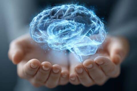 Neurociência explica por que o cérebro não “para” aos 25