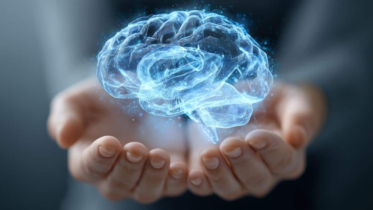 Neuroci&ecirc;ncia explica por que o c&eacute;rebro n&atilde;o &ldquo;para&rdquo; aos 25 - Sou Enfermagem