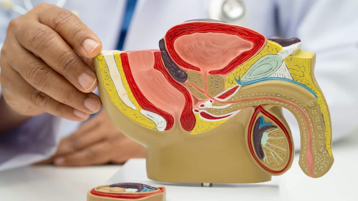 Técnica brasileira aprimora cirurgia do câncer de próstata e amplia acesso no SUS