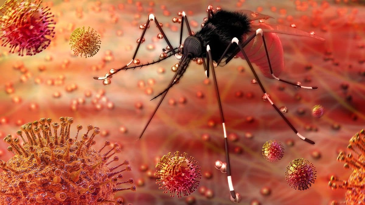 Ilustração científica do mosquito Aedes aegypti em ambiente microscópico, associada à transmissão do vírus Zika e seus impactos na saúde infantil.