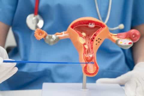 Guia atualizado aponta evolução no rastreamento do HPV no país