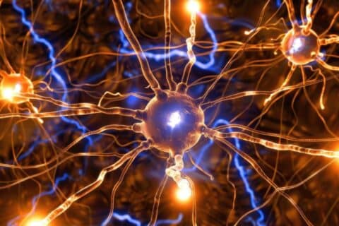 IA identifica dois novos perfis biológicos de Esclerose Múltipla