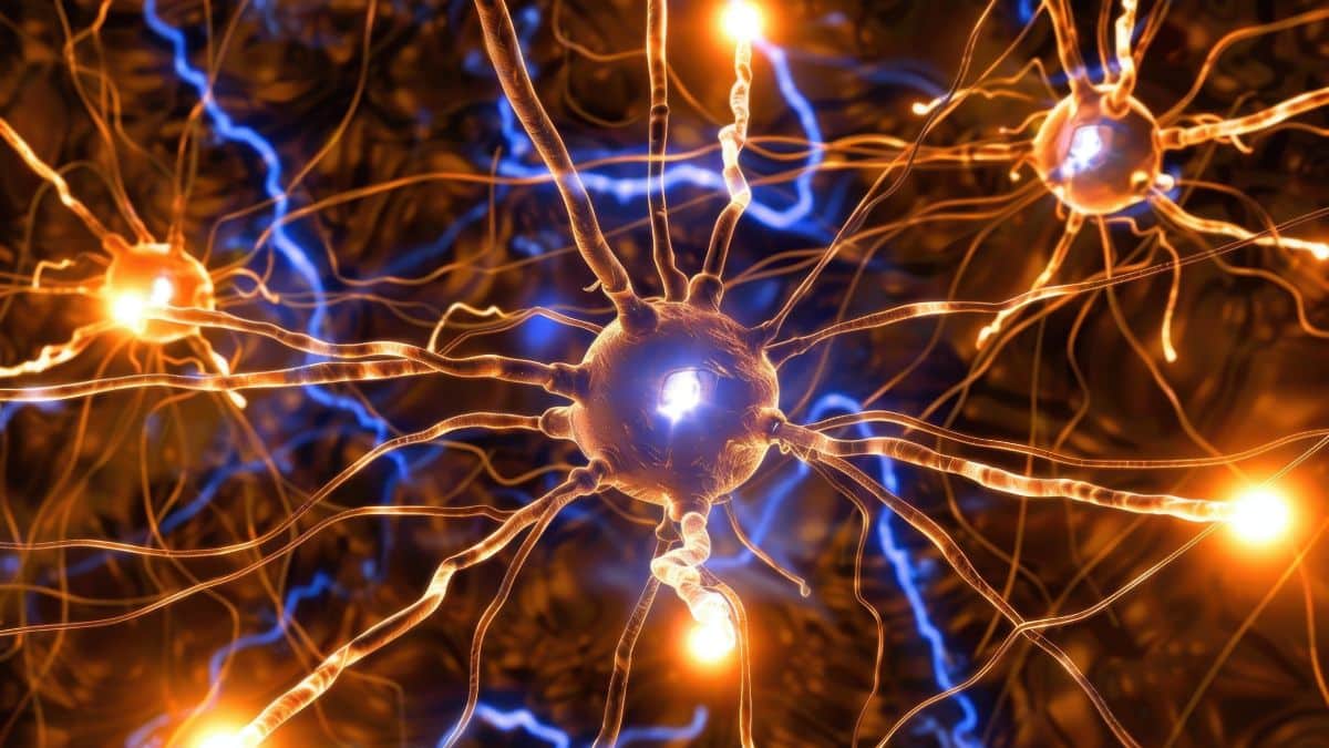 IA identifica dois novos perfis biológicos de Esclerose Múltipla