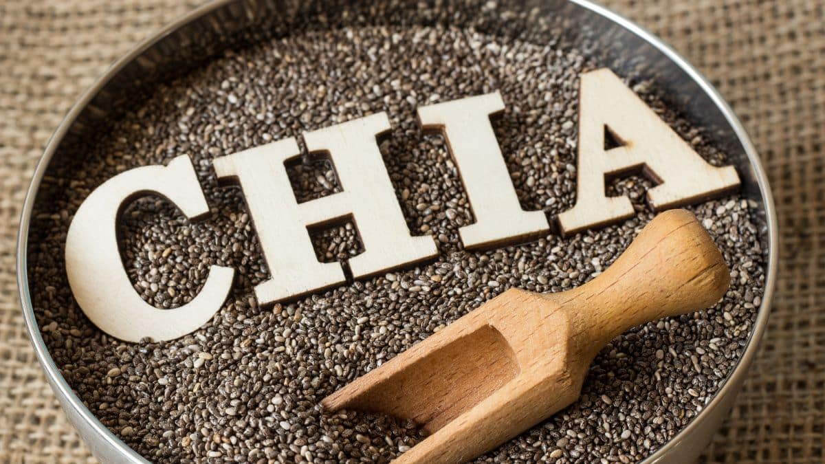 Nem todos podem consumir chia, alertam nutricionistas
