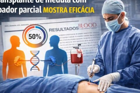 Ilustração médica mostra transplante de medula óssea com doador parcialmente compatível, apontado como seguro e eficaz em estudo