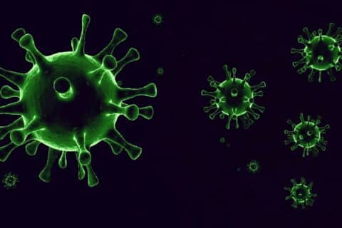 Vacinas importantes ainda são negligenciadas por adultos, alertam infectologistas
