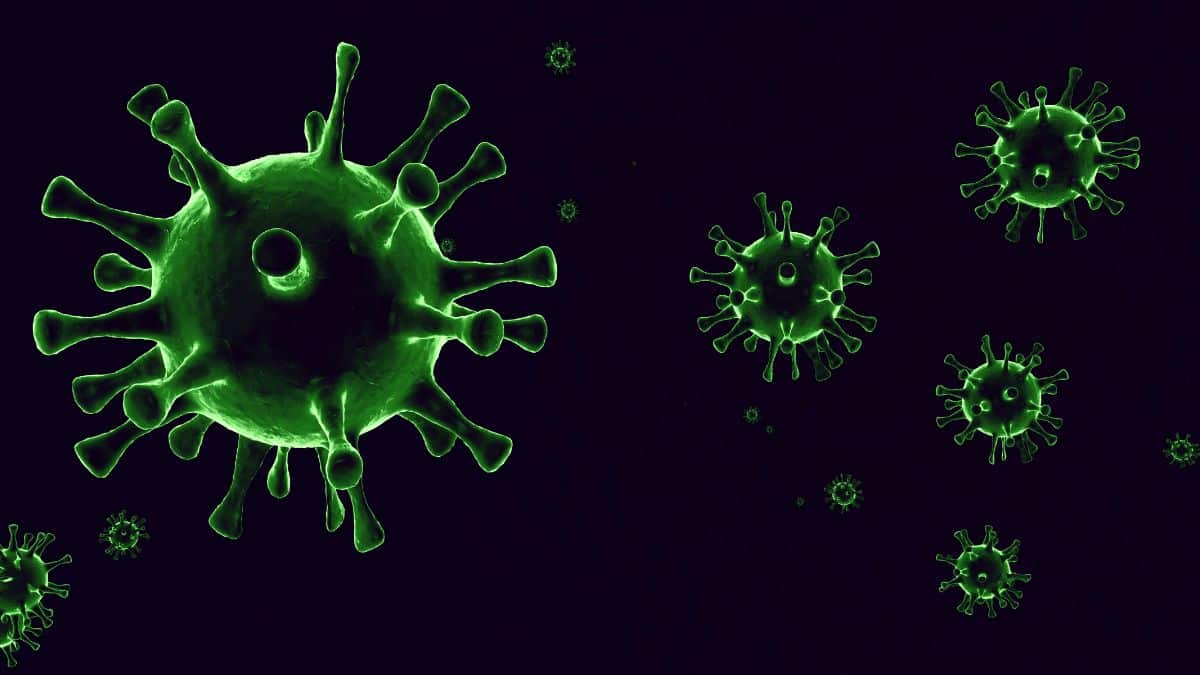 Vacinas importantes ainda são negligenciadas por adultos, alertam infectologistas