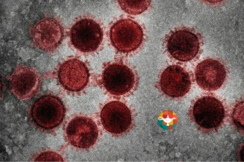 Mato Grosso registra 946 casos de HIV em 2025 e reforça prevenção de ISTs no Carnaval