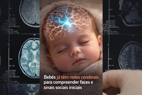 O cérebro do bebê já começa a se preparar para o mundo muito antes das primeiras palavras