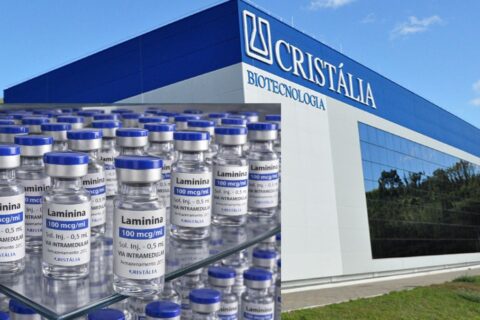 Polilaminina entra em fase clínica e coloca Cristália no centro de uma aposta brasileira em tratamento para trauma medular