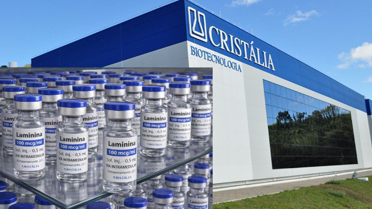 Polilaminina entra em fase clínica e coloca Cristália no centro de uma aposta brasileira em tratamento para trauma medular