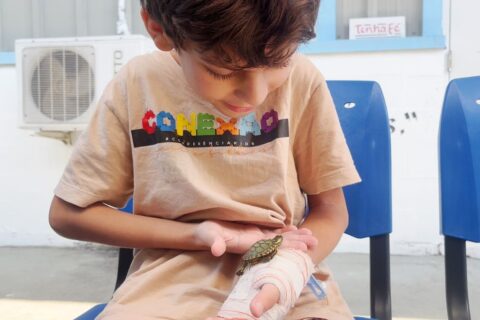 Reencontro entre criança e sua tartaruga de estimação gera alegria e conforto em hospital