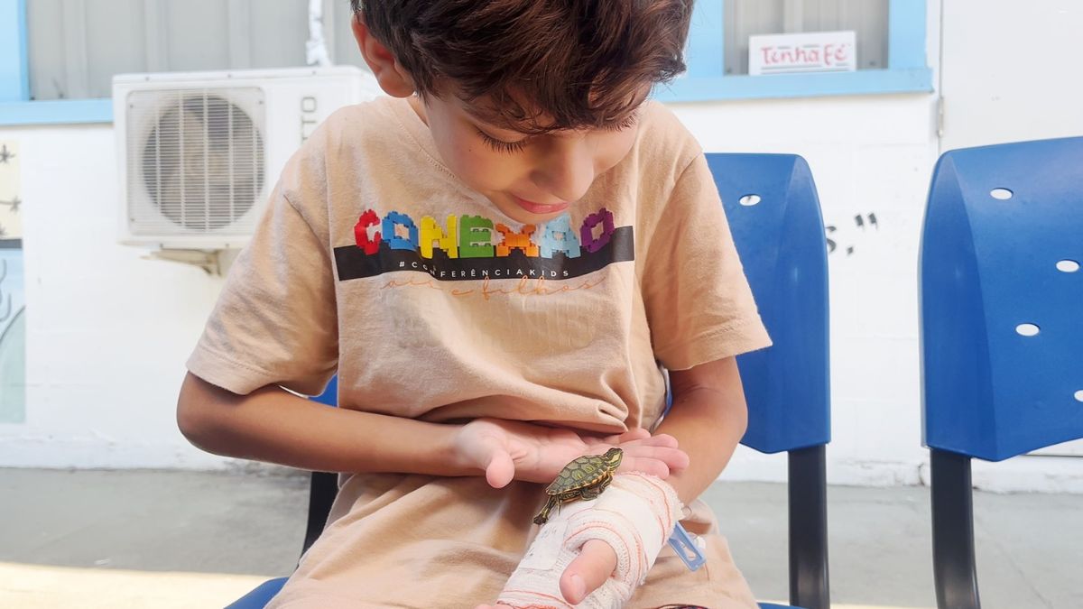 Reencontro entre criança e sua tartaruga de estimação gera alegria e conforto em hospital