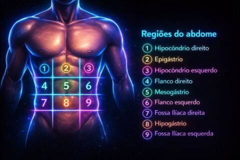 Regiões do abdome e sua aplicação na prática clínica