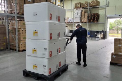 SC distribuirá mais de 300 mil doses de vacina contra a Influenza