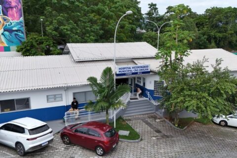 Hospital Veterinário Municipal de Florianópolis atinge 40 mil procedimentos em apenas três meses