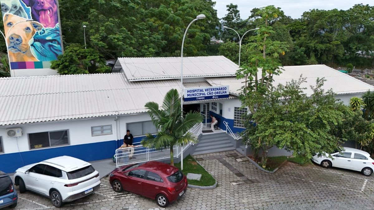 Hospital Veterinário Municipal de Florianópolis atinge 40 mil procedimentos em apenas três meses